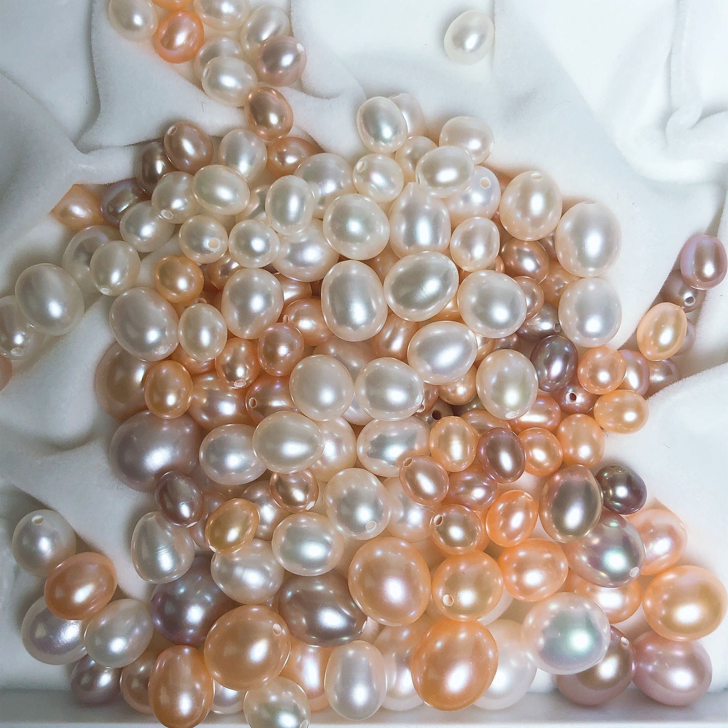 A45.【no shell opening 】Teardrop pearl oyster New Arrival ❤️🔥💥(Big and Small)
