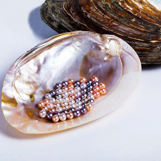 0.0001.💥[LIVE OPENING] Treasure Box with 20-30 pearls💥 Company's best selling shell